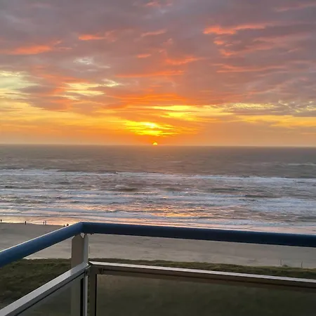 Sterflat 207 Egmond aan Zee